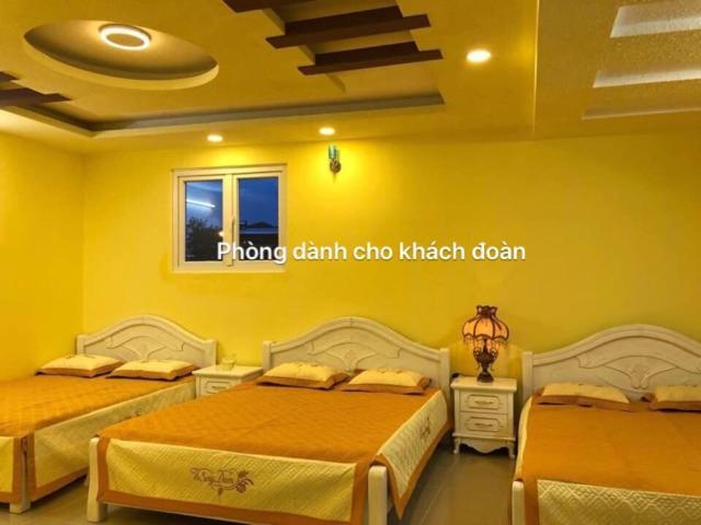 Thu Linh Guesthouse Đà Lạt Ngoại thất bức ảnh